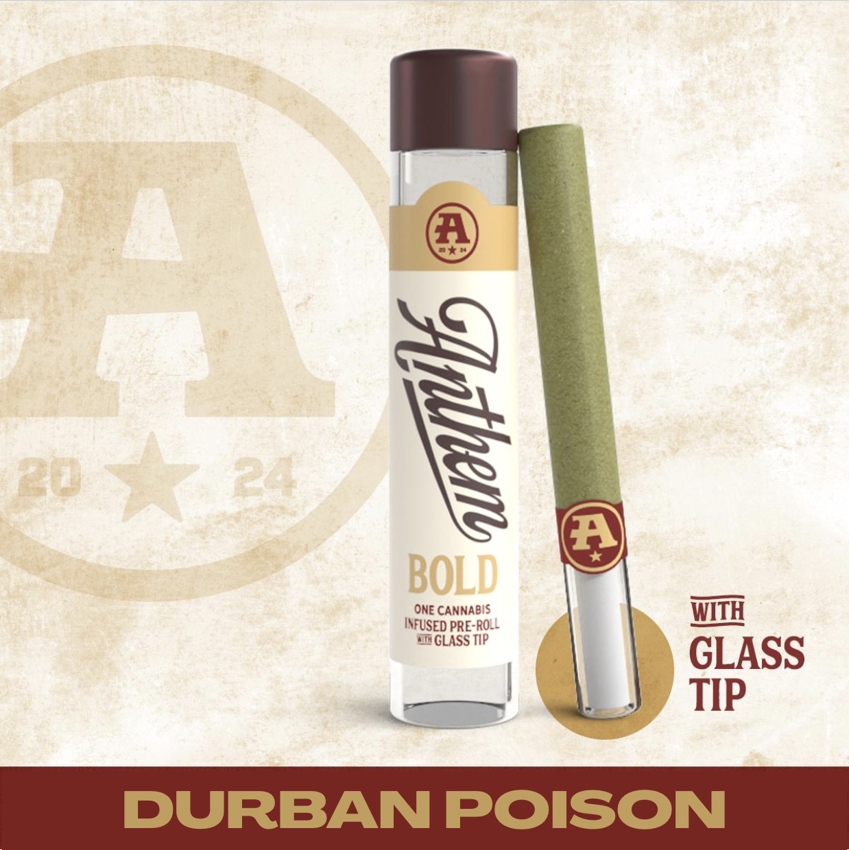 Bold Glass Tip Infused Durban Poison Pre-Roll 1g