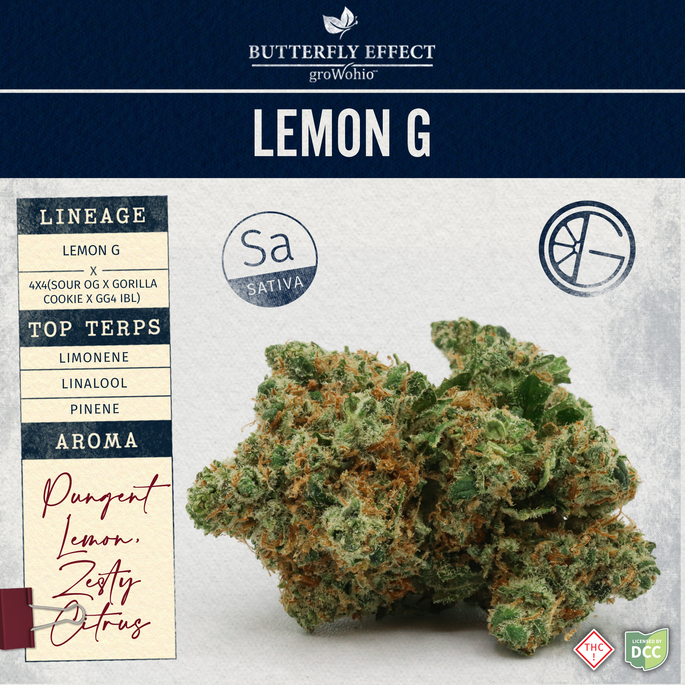Lemon G [14.15g] Sativa