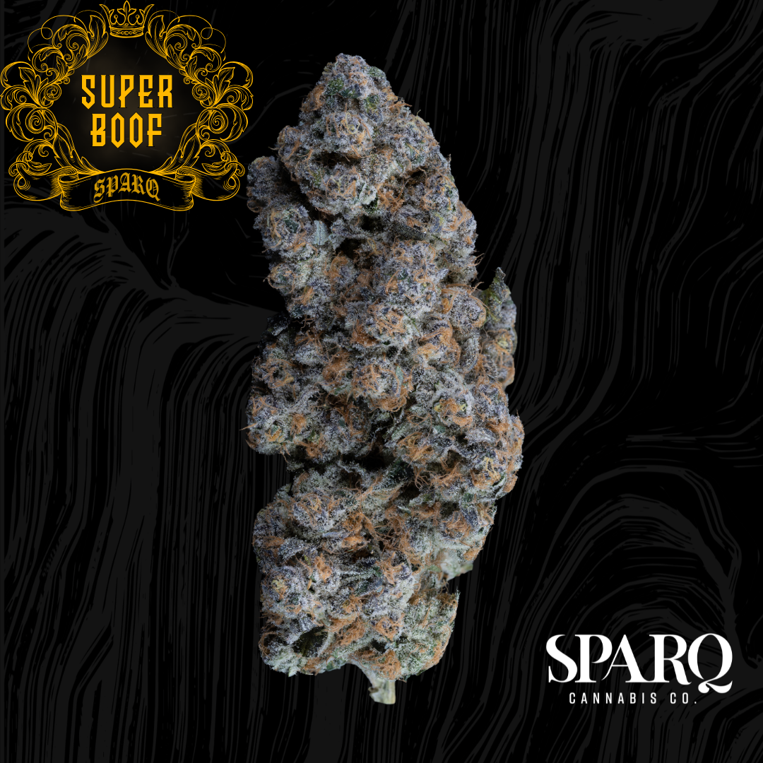 Super Boof