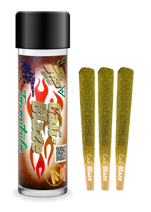 Cinnamon Churro Tarantula 3-pack | 3g