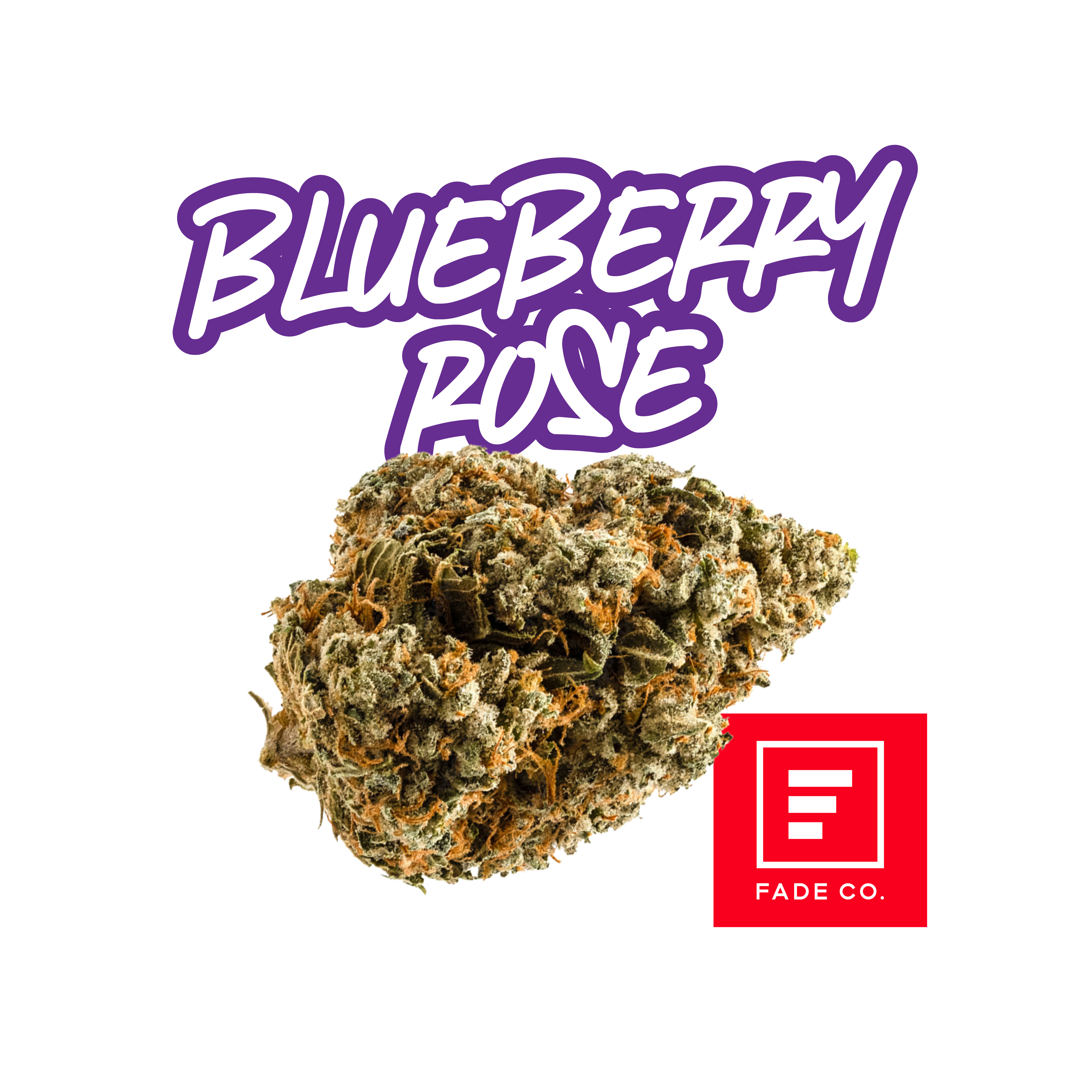 Blueberry Rose C | 3.5g