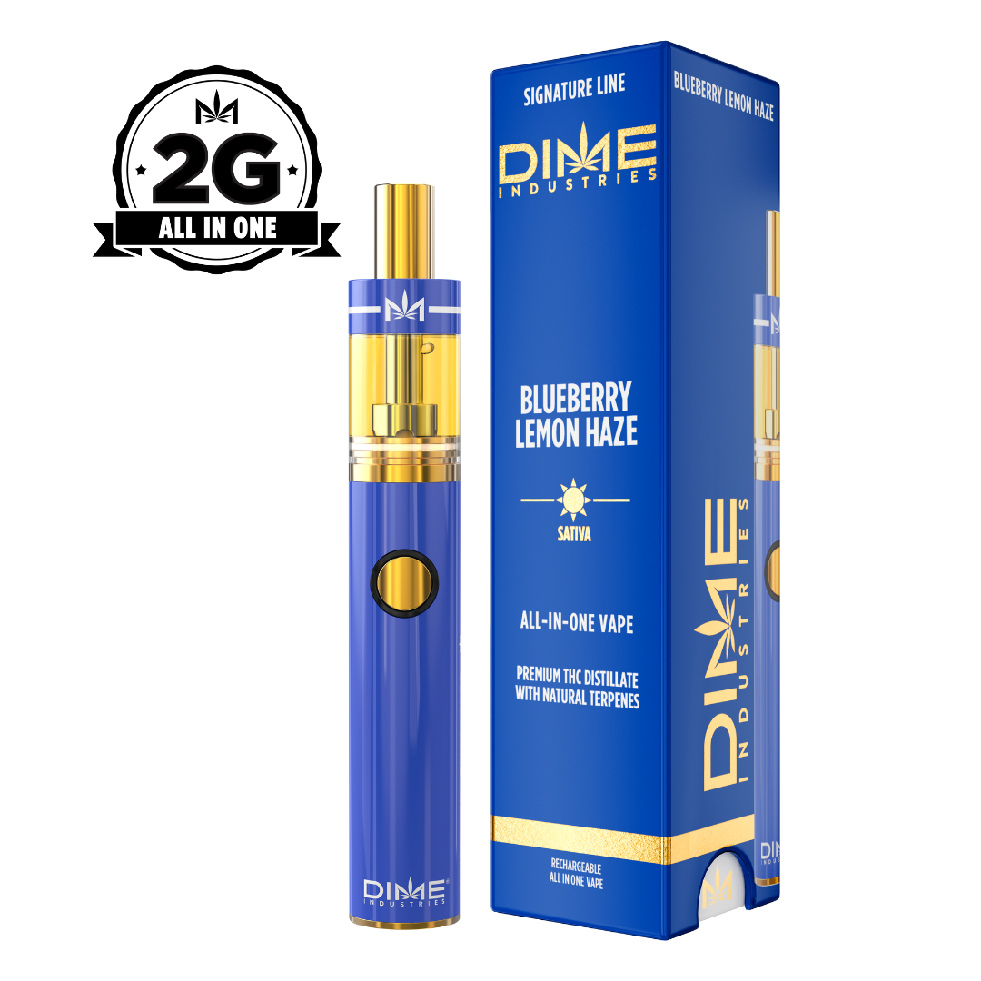 Blueberry Lemon Haze | Disposable | 2g
